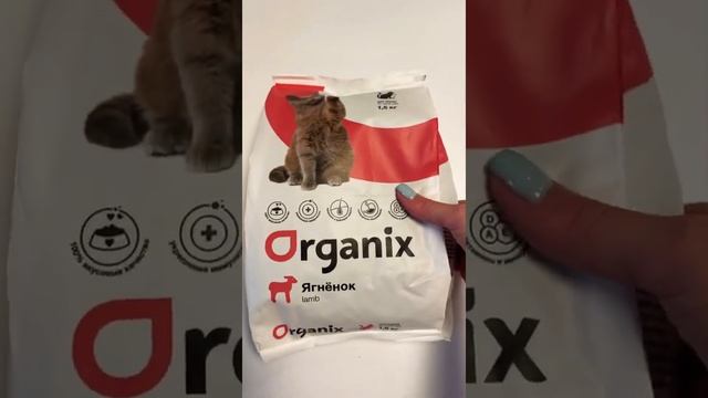 Organix сухой корм для кошек с ягнёнком смотреть онлайн