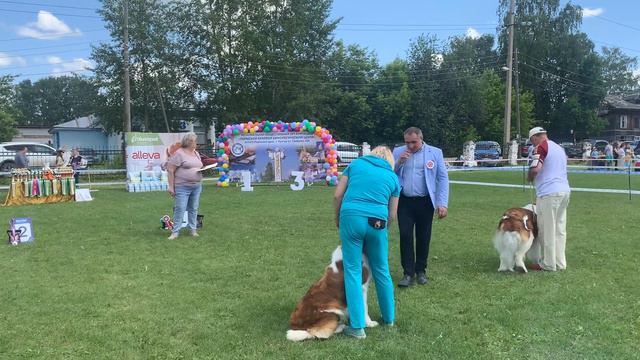 3 июля 2022 г. смотреть онлайн