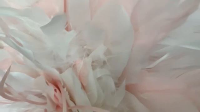 Декор для дома. Камерунская шляпа. Декор настенный. Ju-ju hat смотреть онлайн