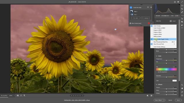Adobe Camera Raw - Intersecting Masks смотреть онлайн