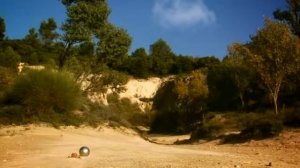 Жизнь насекомых 2