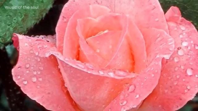 Эту музыку можно слушать вечно! Самая Красивая Музыка Сергея Чекалина/You could listen to it foreve смотреть онлайн