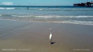 LOS ANGELES TRAVEL - USA, WALKING TOUR (3 HOURS 13 MINUTES), Best Places To Visit in LA, 4K UHD