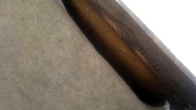 30 января 2015 года