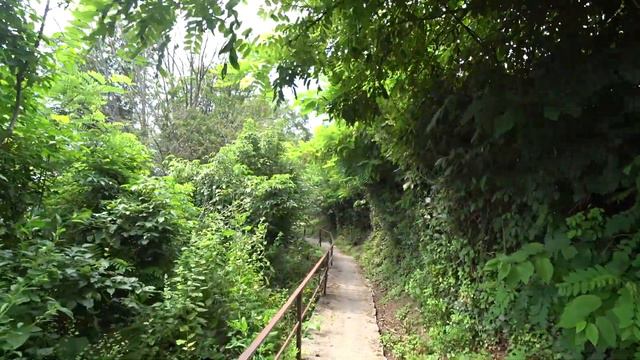 Участок 90 метров от моря Сочи - Нижняя Хобза! / Земельные участки в Лазаревском районе Сочи смотреть онлайн