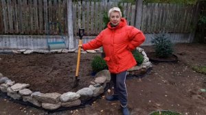 Делаем клумбу непрерывного цветения  -  для хвойных и многолетников. Часть 3  - высаживаем растения