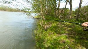 Забросили удочку в кусты | Рыбалка в Грузи | Грузия 2023