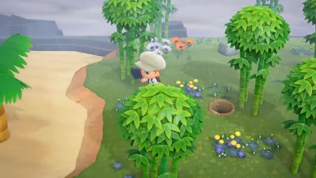 Where to find Bamboo and Bamboo Shoots in Animal Crossing: New Horizons смотреть онлайн