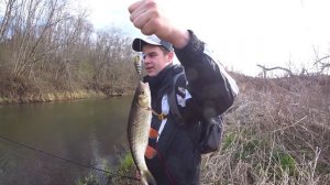 Голавль в Апреле! Первые поклевки!