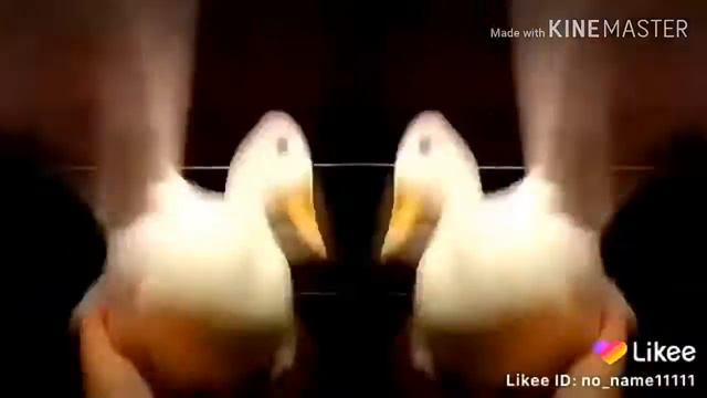 Утка в бешенстве смотреть онлайн