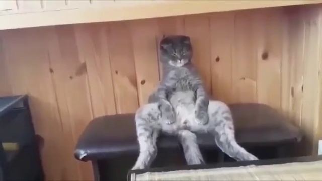 Стёпа смотреть онлайн