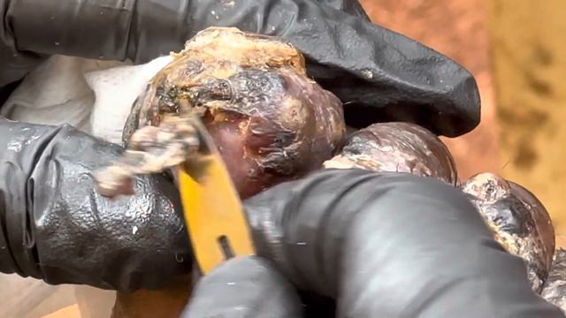 Jackson's jiggers - watch fat whole jiggers pulled out @riseupsociety.net смотреть онлайн