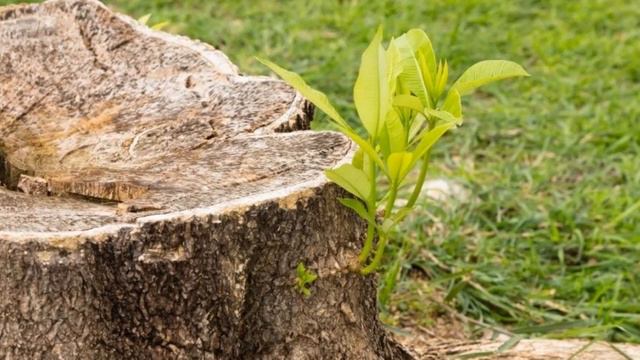 129 - Отрасль смотреть онлайн