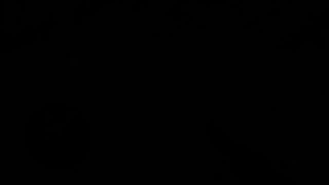 Let's Demo: Hunter's Trophy 2 America (Gameplay) смотреть онлайн