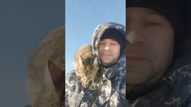 Муська просит, быстрей наловить рыбки. Отдых в Карелии база отдыха, аренда домиков на берегу озера. смотреть онлайн