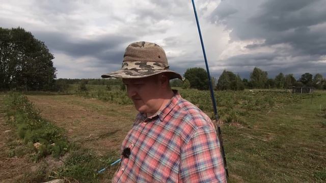 Сколько голубики посадить чтобы с этого жить // Голубика для начинающих. Часть 12 смотреть онлайн
