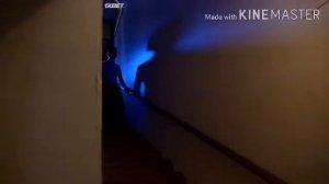 Живот кино 2020 Stomach