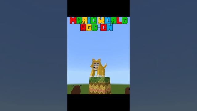 ?CAT MARIO?- ?Super Mario ADDON? (PREVIEW) - Minecraft Bedrock 1.19