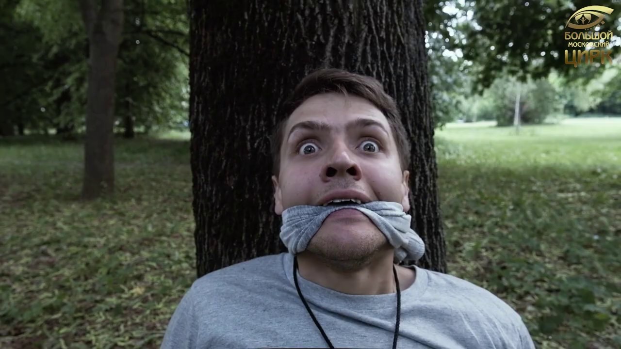 МедведКино Большого Московского цирка представляет: «Медведь против зла» смотреть онлайн