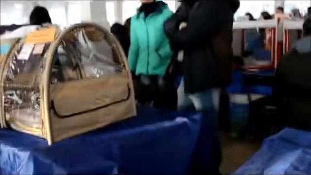 ЗОЛОТАЯ КОШКА БЕЛАРУСИ 2016 смотреть онлайн