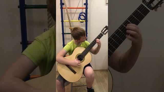 Фернандо Сор "Размышление"/#Fernando Sor Reflection. смотреть онлайн