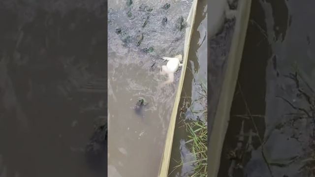 Главное в любой ситуации оставаться самим собой. смотреть онлайн