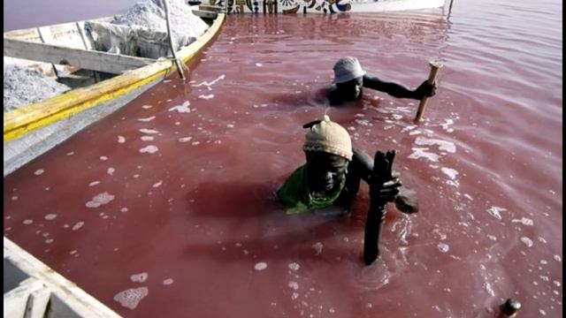 Розовое озеро Retba Сенегал