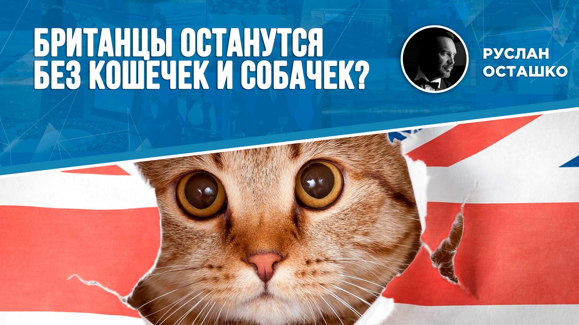Британцы останутся без кошечек и собачек? (Руслан Осташко)