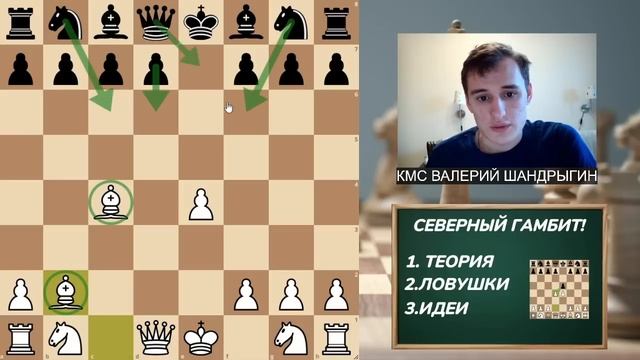 СЕВЕРНЫЙ ГАМБИТ! 5 Ловушек и Веселая игра! +100 рейтига! смотреть онлайн