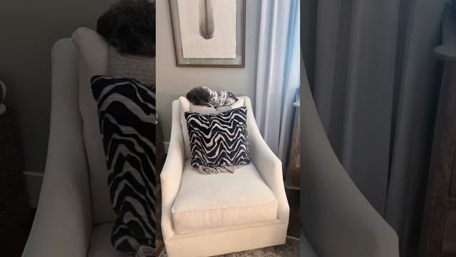 Beautiful Customer Room with Rowe Grayson Sofa and Robin Bruce Chairs смотреть онлайн