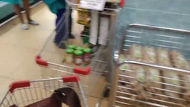 ДИКИЙ АЛЬБАТРОС!ОХРАНА СБЕЖАЛА И ПОЗВАЛА НА ПОМОЩЬ РОСГВАРДИЮ! 2часть. смотреть онлайн