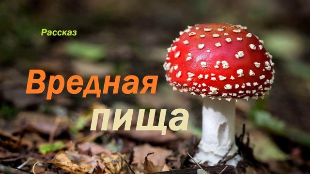 Вредная пища.. (рассказ)