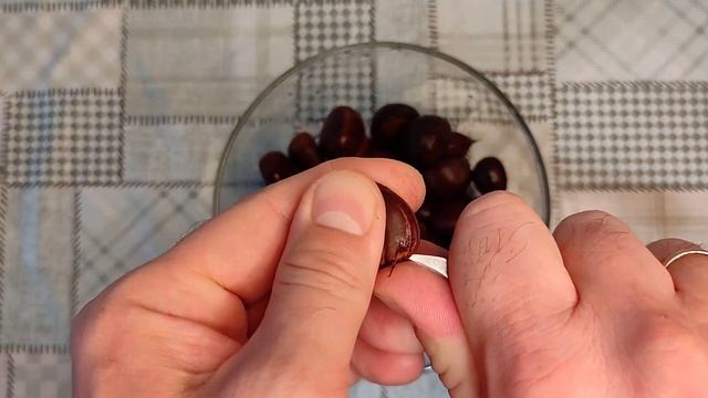 Каштаны в духовке. Как отличить каштаны съедобные от несъедобных.