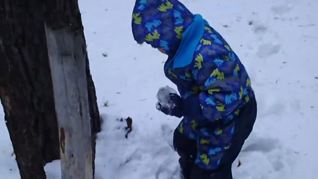 Машинозавры и ледяные яйца действительно существуют!