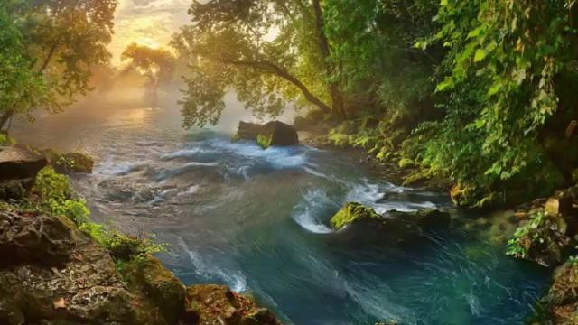 Судьбоносная встреча. Рассказ о жизни и служении Христа без искажений и домыслов.