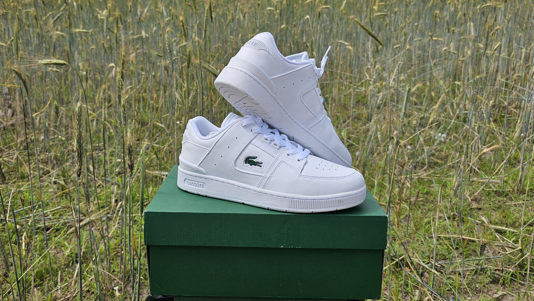 Обзор стильных кед Lacoste Court Cage смотреть онлайн