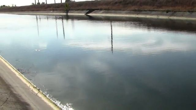 Ловля судака,окуня,голавля,бычка на Каховском канале!!! смотреть онлайн