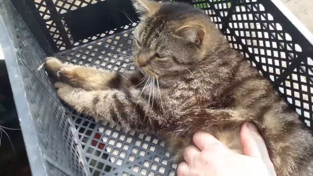 Славянск. 27 апреля 2023г. Вечер.