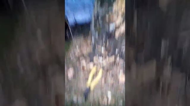 "Жамшут и Равшан добывают березовый сок смотреть онлайн