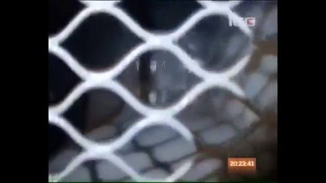 Александр Дюмин - Снова нарды, снова карты смотреть онлайн