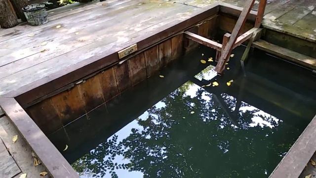 Купели Киева. Народная купель в Феофании. смотреть онлайн