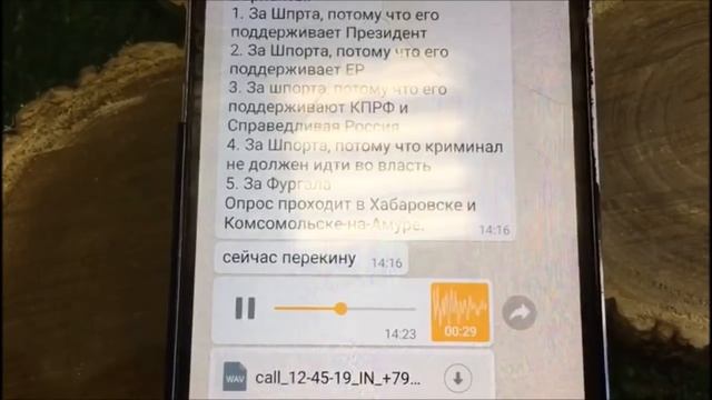 Опрос по телефону