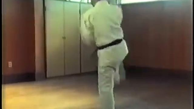 All 12 Goju-Ryu Kata With Bunkai By Morio Higaonna