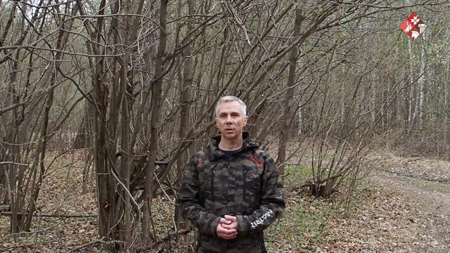 Зарянка смотреть онлайн
