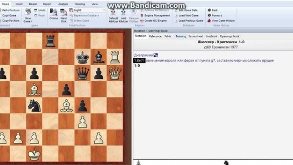 Инструкция по работе с книгами в ChessBase