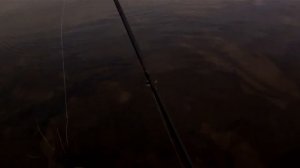 С поппером O.S.P. Louder 70 на щуку поздней осенью.Topwater Pike Fishing.
