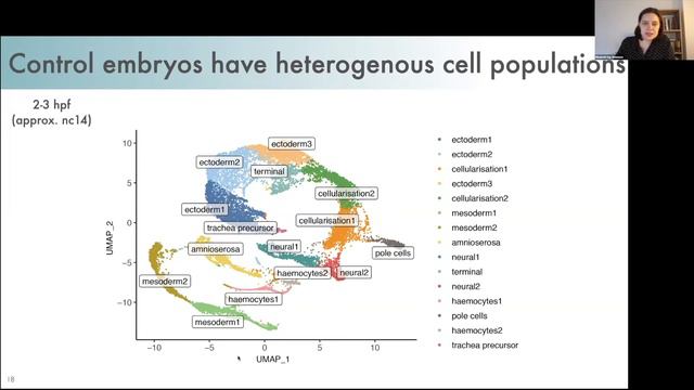 Liz Ing-Simmons: "Independence of 3D chromatin conformation and gene regulation during Drosophi..." смотреть онлайн