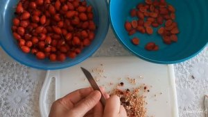 Մասուրի մուրաբա | Варенье из Шиповника | Rose hip jam