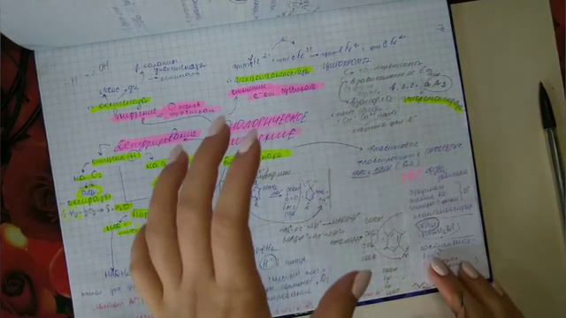 Тканевое дыхание и биологическое окисление смотреть онлайн