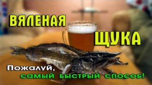 Как быстро завялить (высушить) щуку